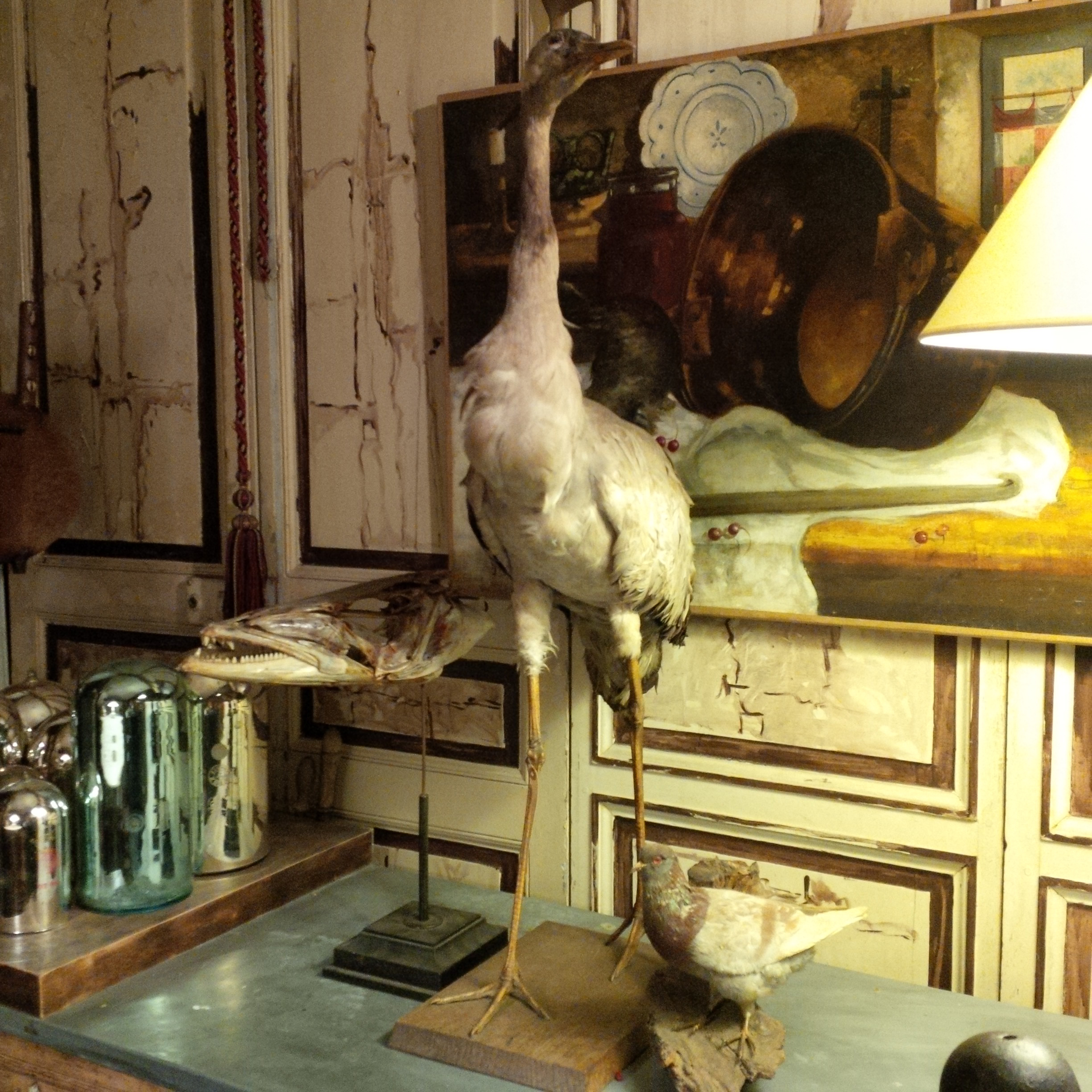 Taxidermy at Les Puces de Saint-Ouen