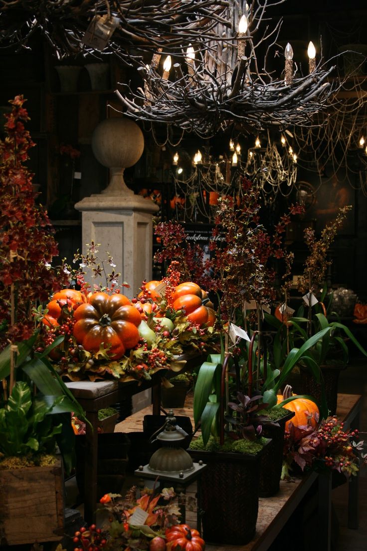 Via Ciao! Newport Beach - I love the autumn foliage and wispy sticks of the chandeliers.