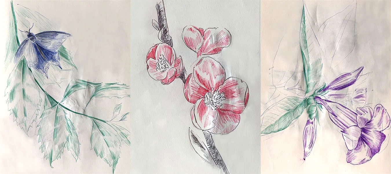 Pen and ink sketches of flowers