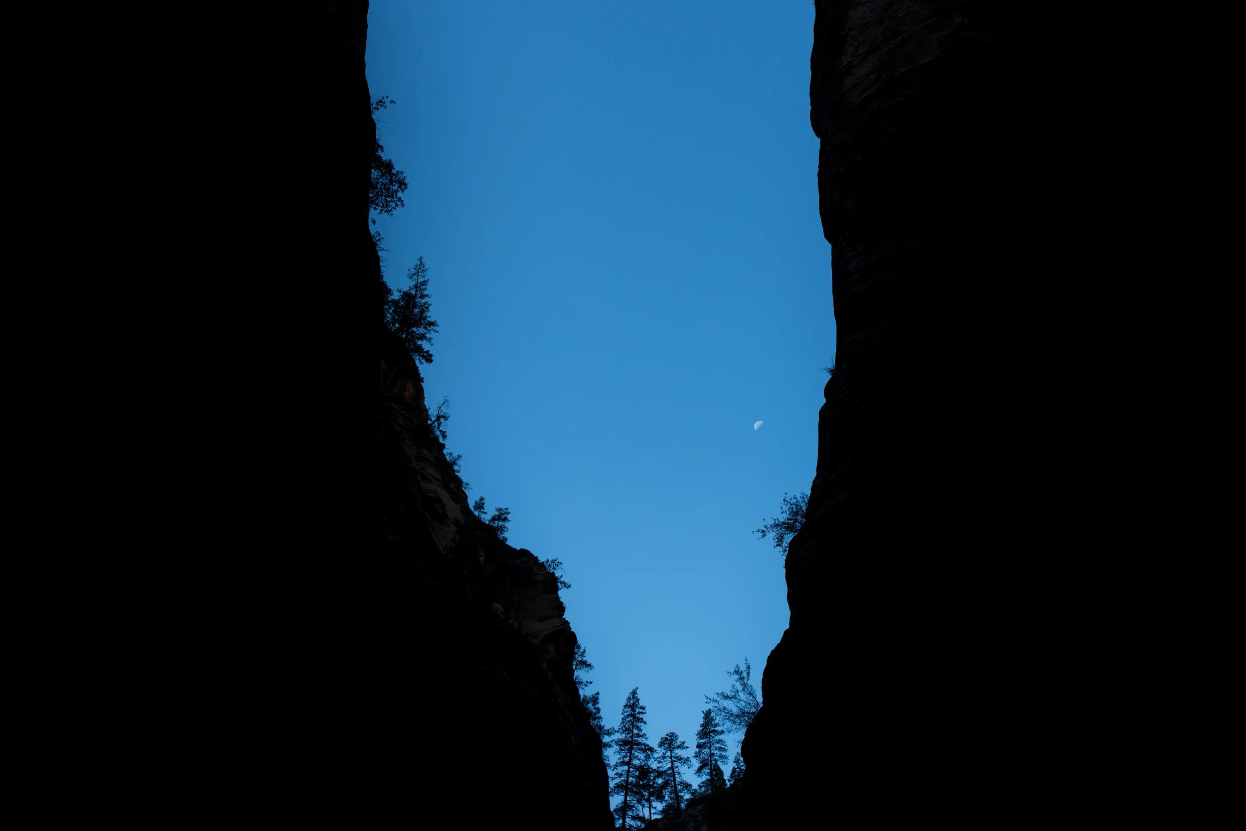 Orderville Canyon, Utah, USA. 