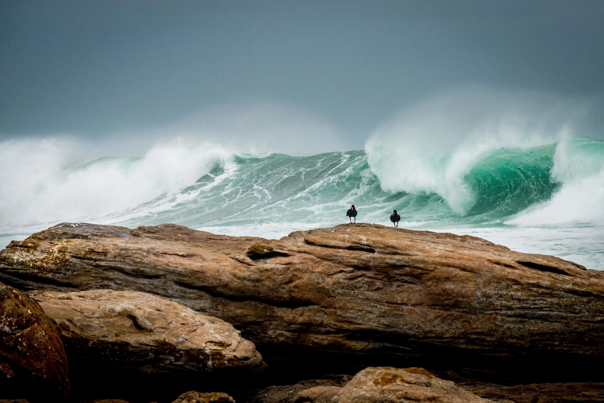 Cape Point August 2016 edits.jpg