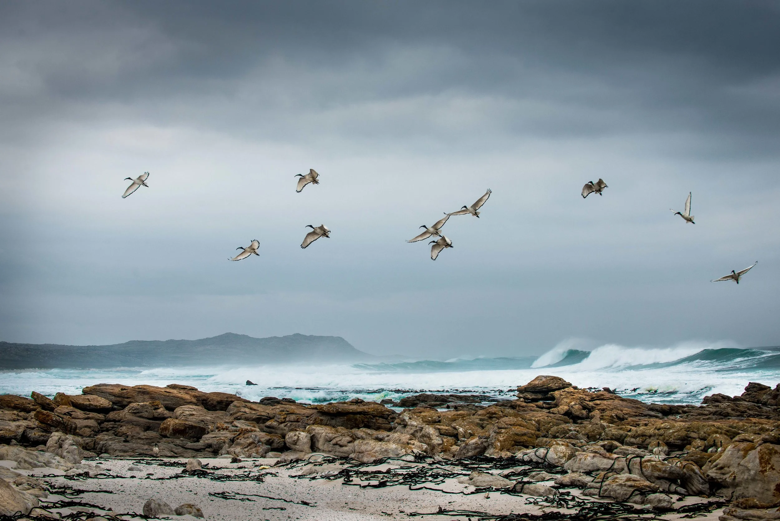 Cape Point August 2016 edits-12.jpg