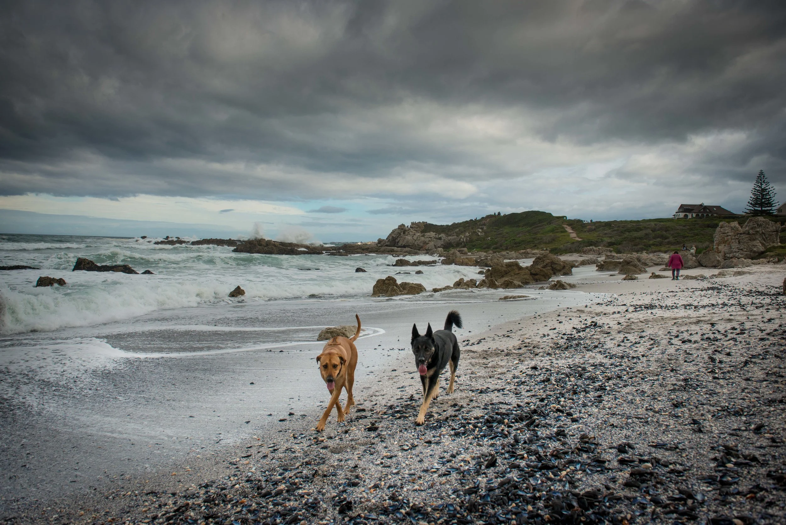 Hermanus-15.jpg