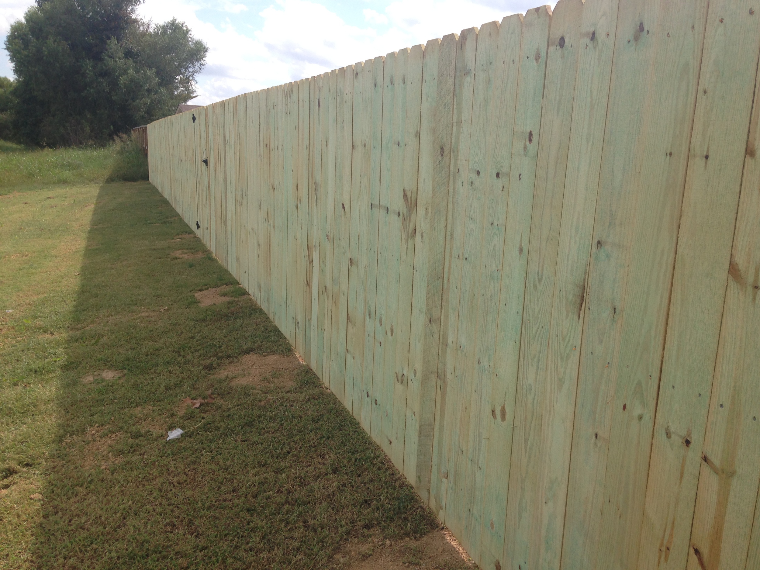 Pine fence 2.JPG