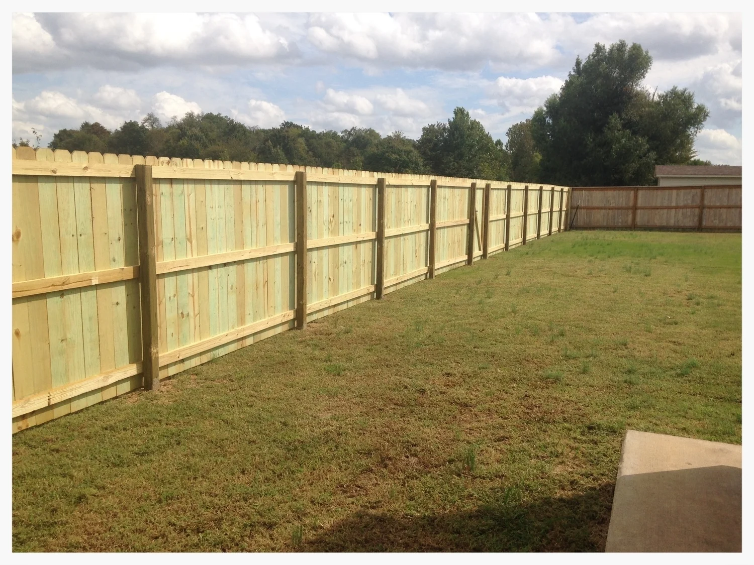 6' Pine Privacy Fence