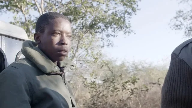 Soul Buffalo - Expeditions