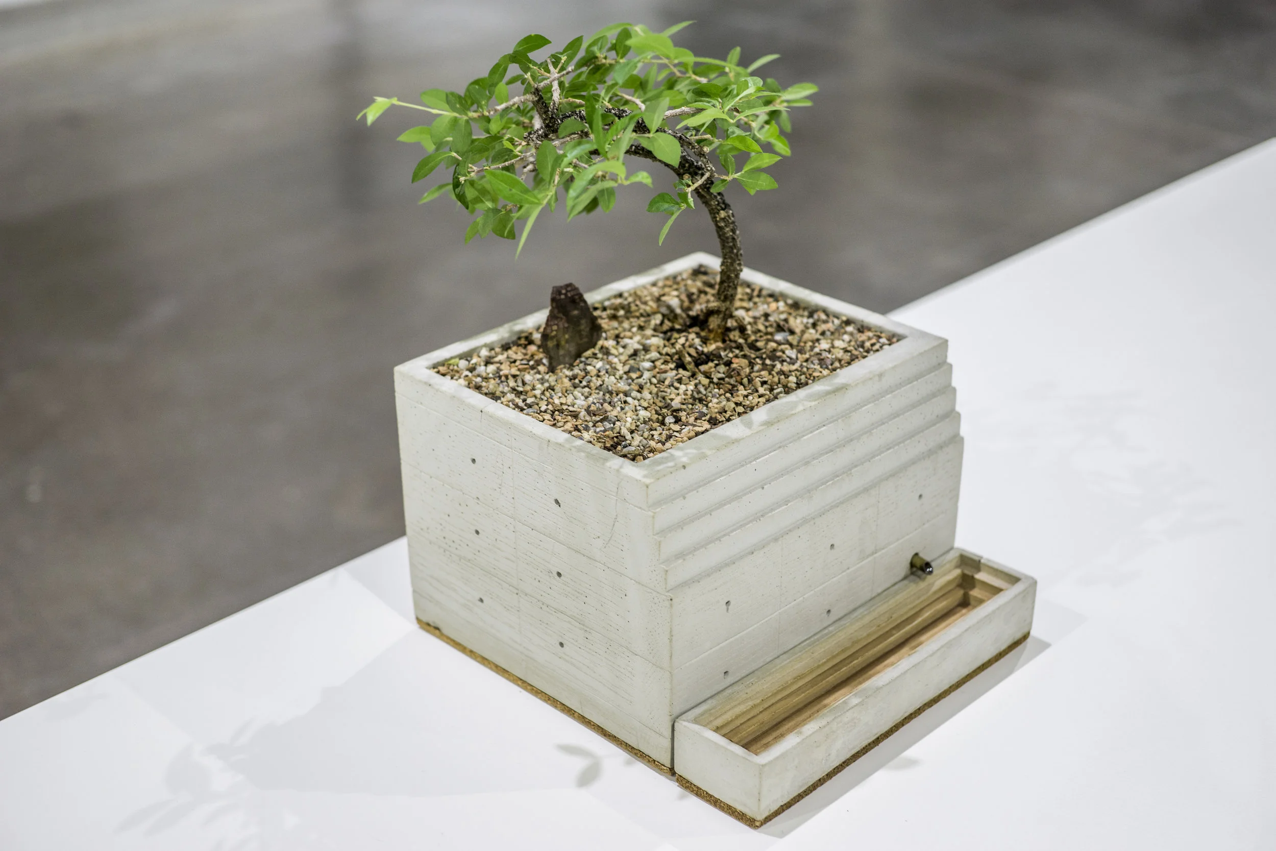 Planter.jpg