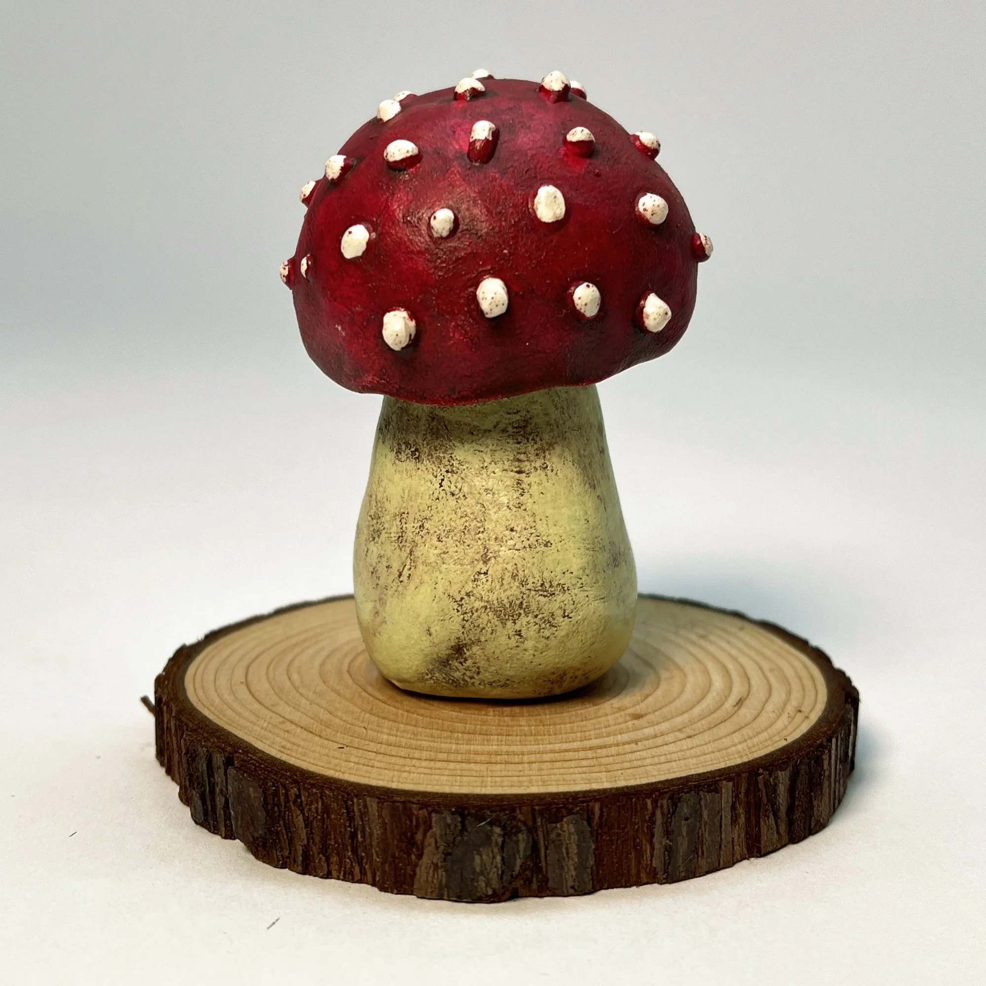 bad mushroom B6_04.jpg