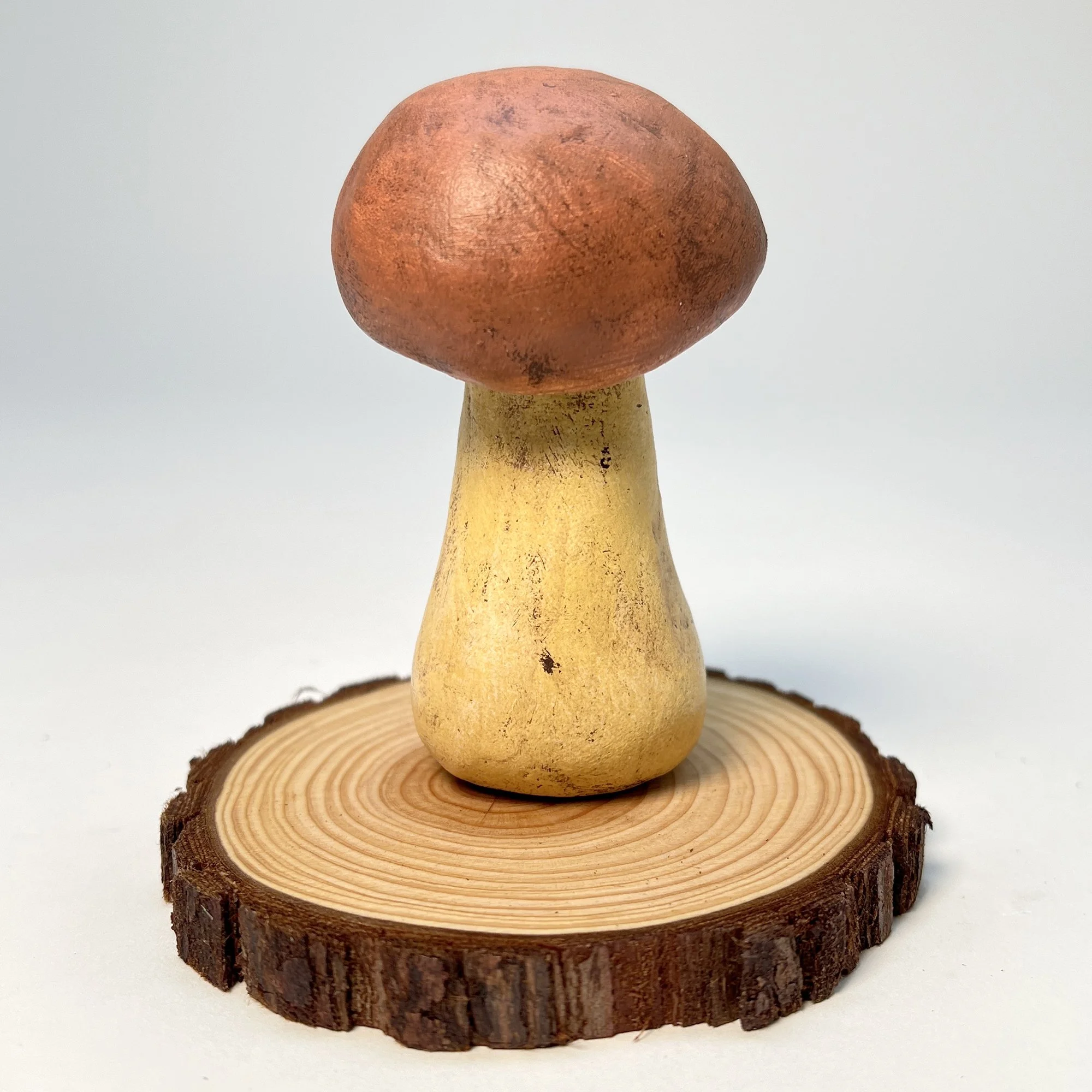 good mushroom B1_03.jpg