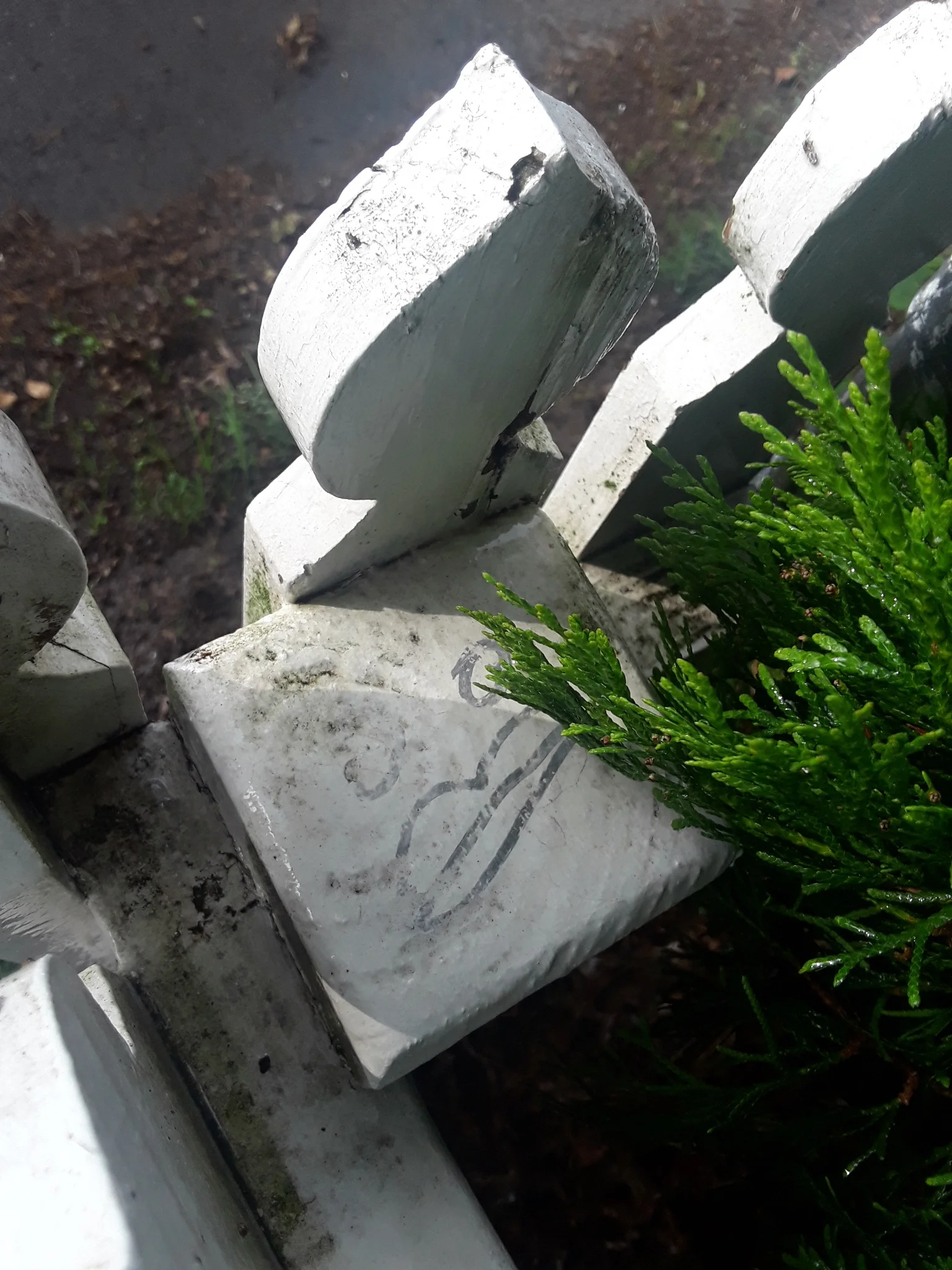 20180602_180527.jpg