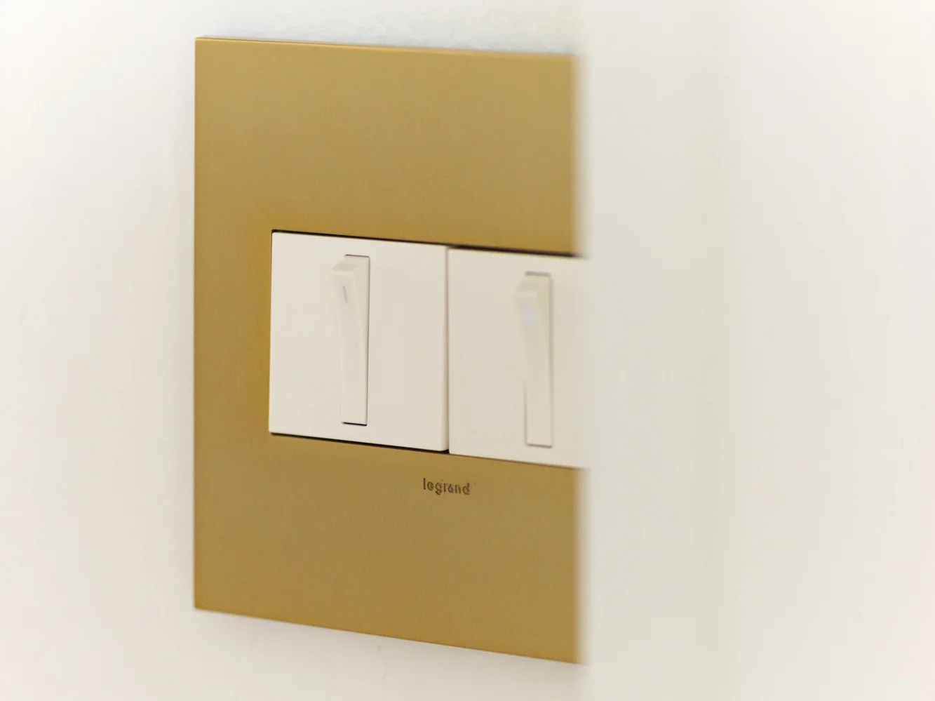 the adorne collection - Switch + Dimmer with Brass Wall Plate