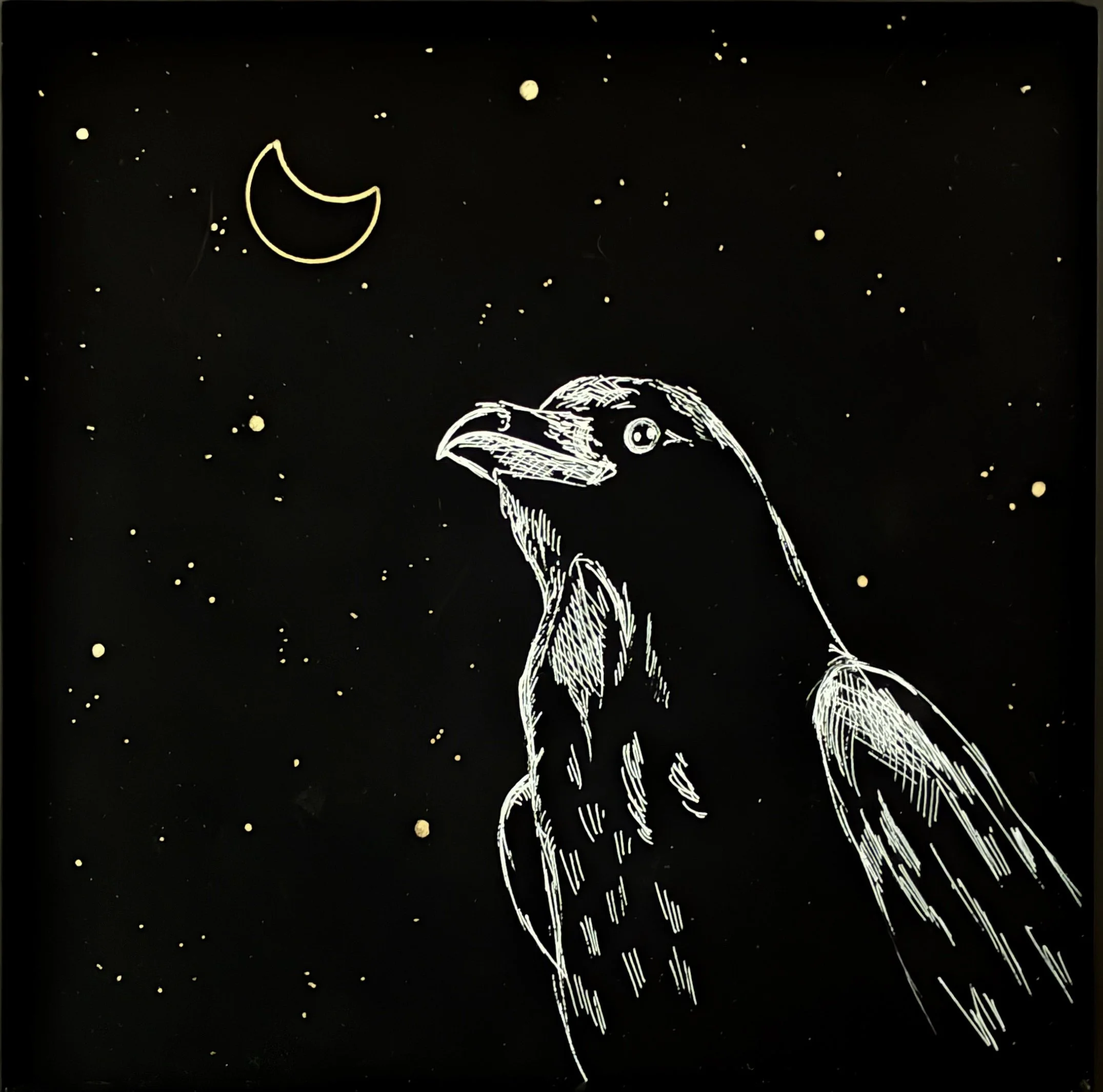 Kelli O'Dell - CROW AT NIGHT.jpeg