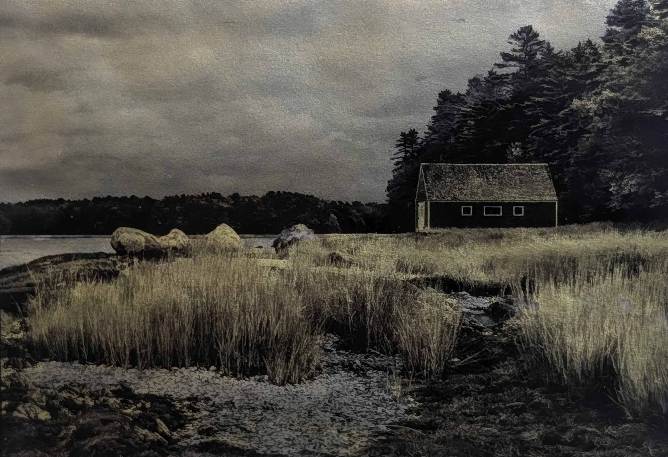 Ron Ploeg - MAINE LANDSCAPE.jpeg