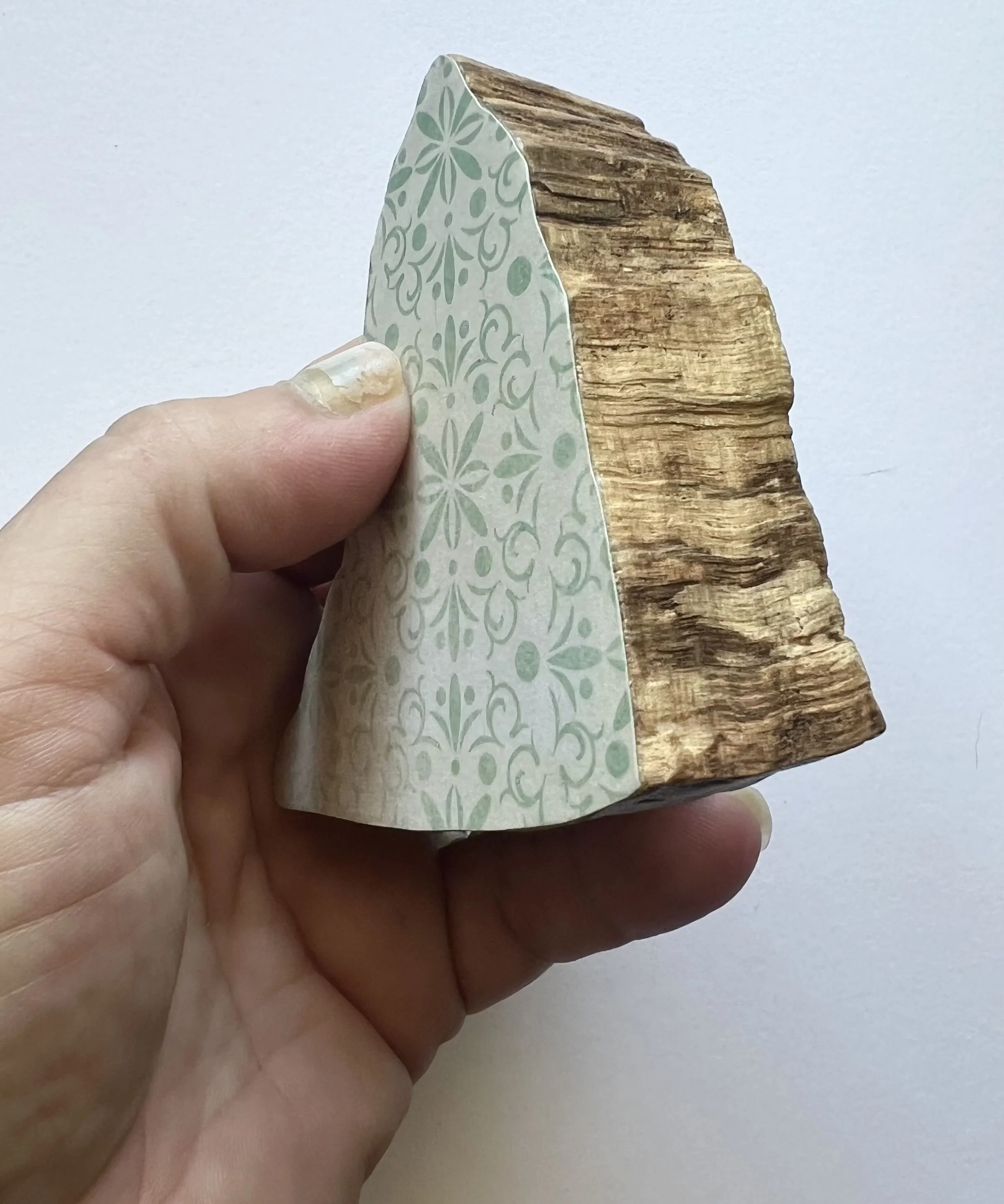 Jennifer Barrile - THE HOUSE IN THE WOODS - Reverse.jpeg