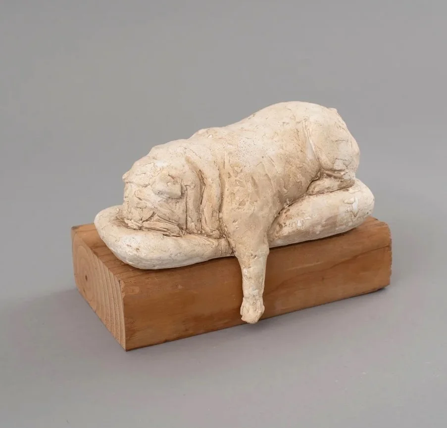 Varvàra Fern - BULLDOG ON THE PILLOW.jpeg