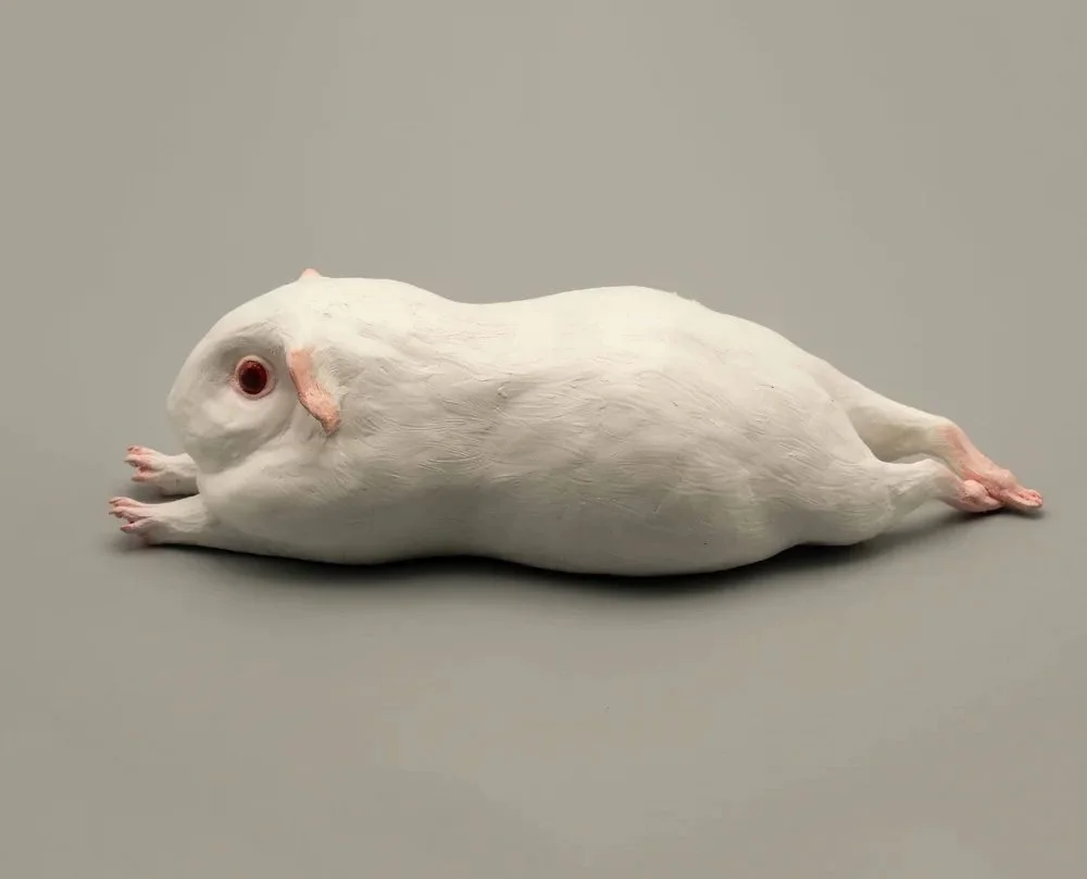 Varvàra Fern - GUINEA SPHINX (WHITE).jpg