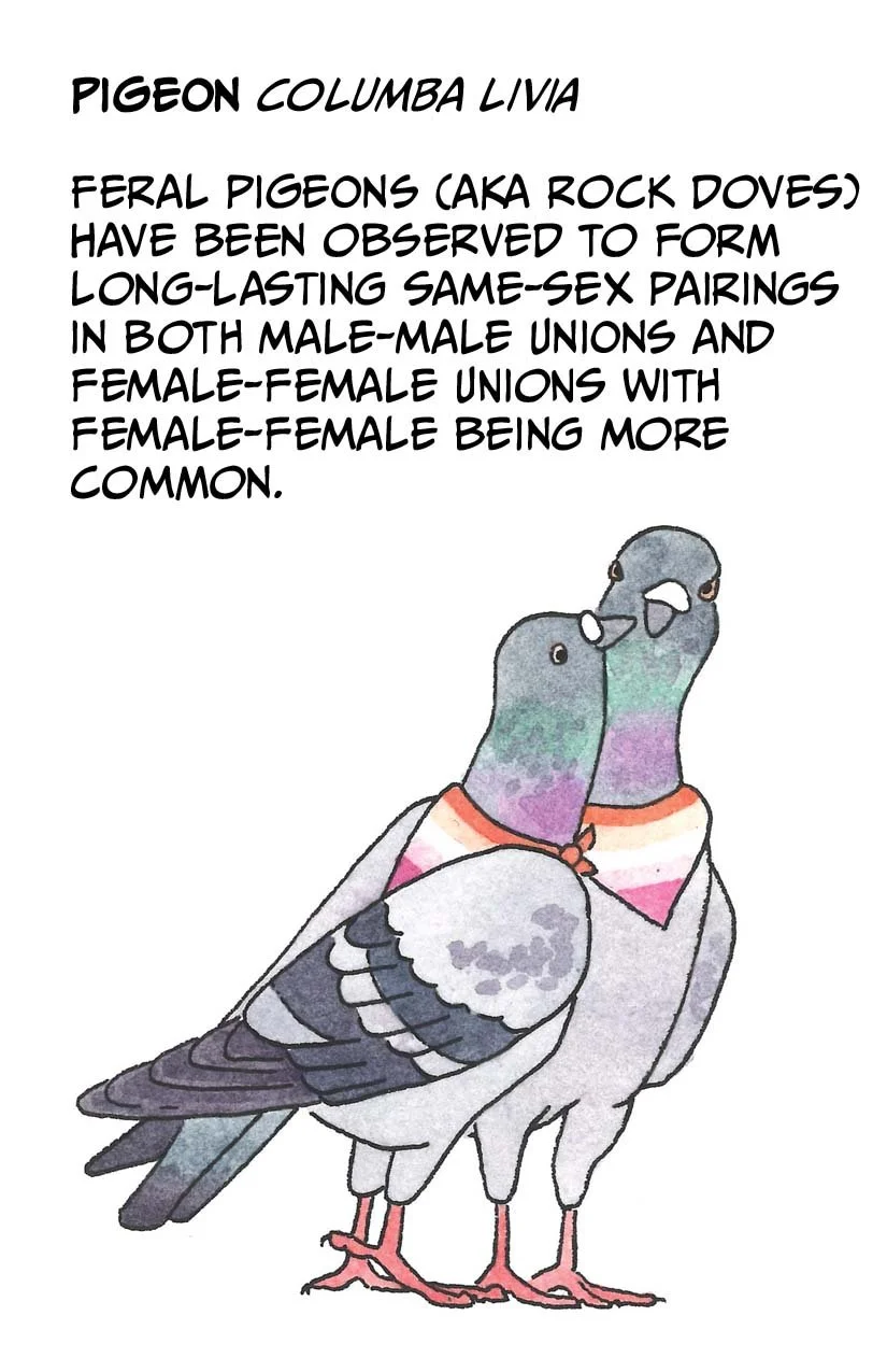 Eve Gordon - QUEER BIRDS Page 4.jpeg