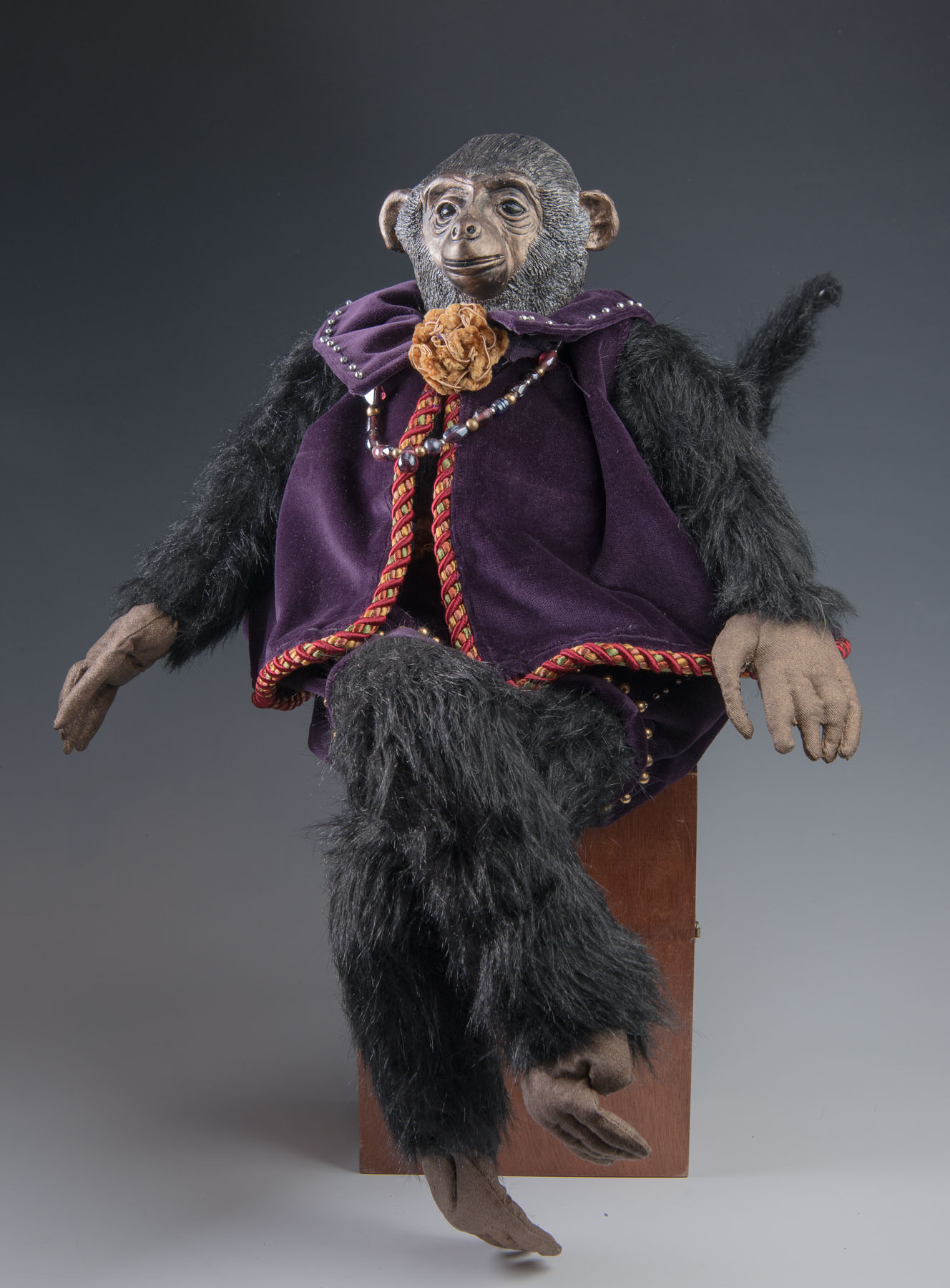 Kimberly Camp - MONKEY SHINES.png
