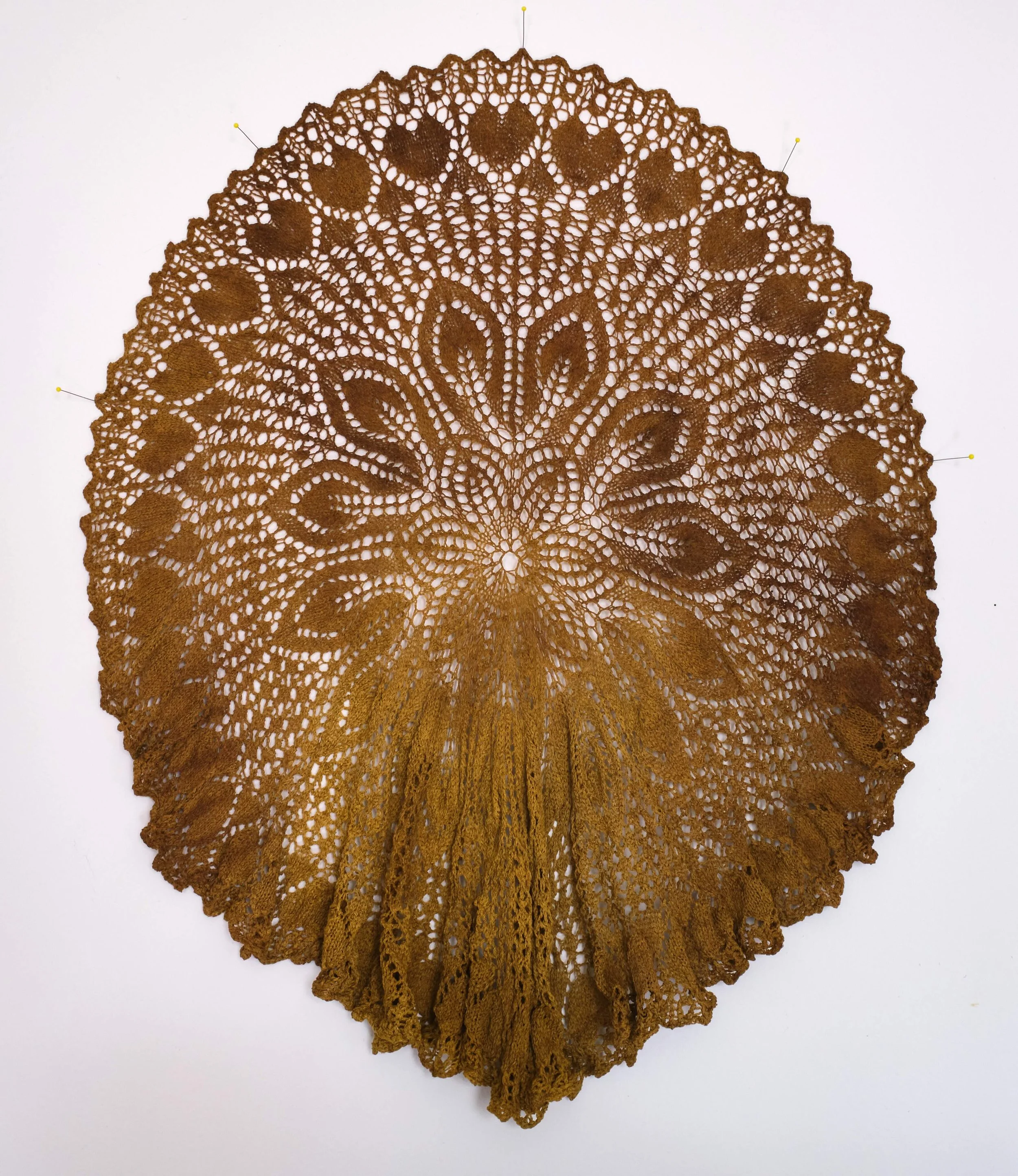 Allen West - SHROUD 4.jpeg