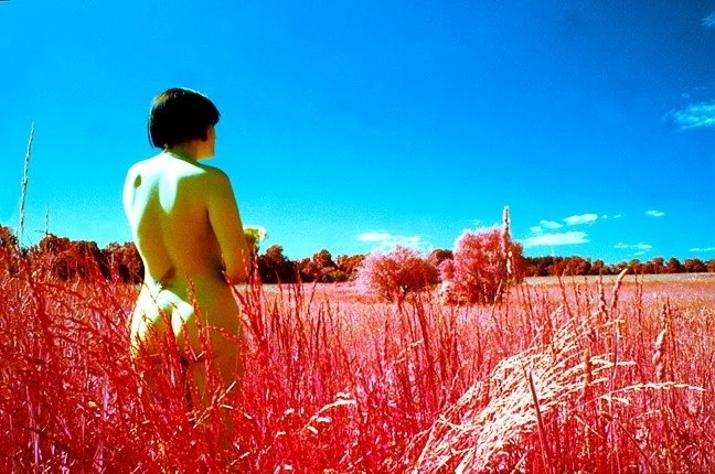 Chris Macan - CHELSEA IN THE LITTLE FIELD.jpeg