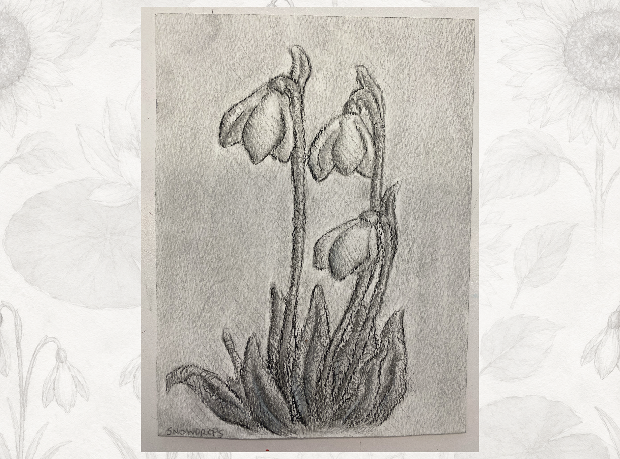 "Snow Drop" / Charcoal