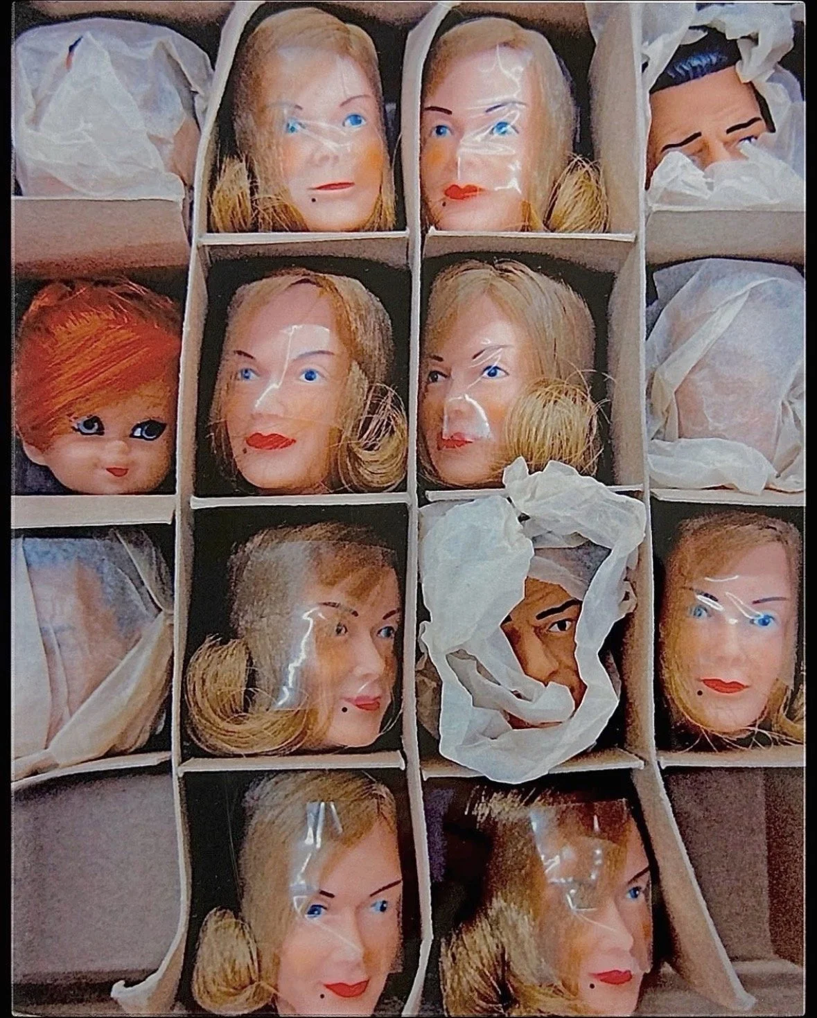 Karen Benson - HEADCASE.jpeg