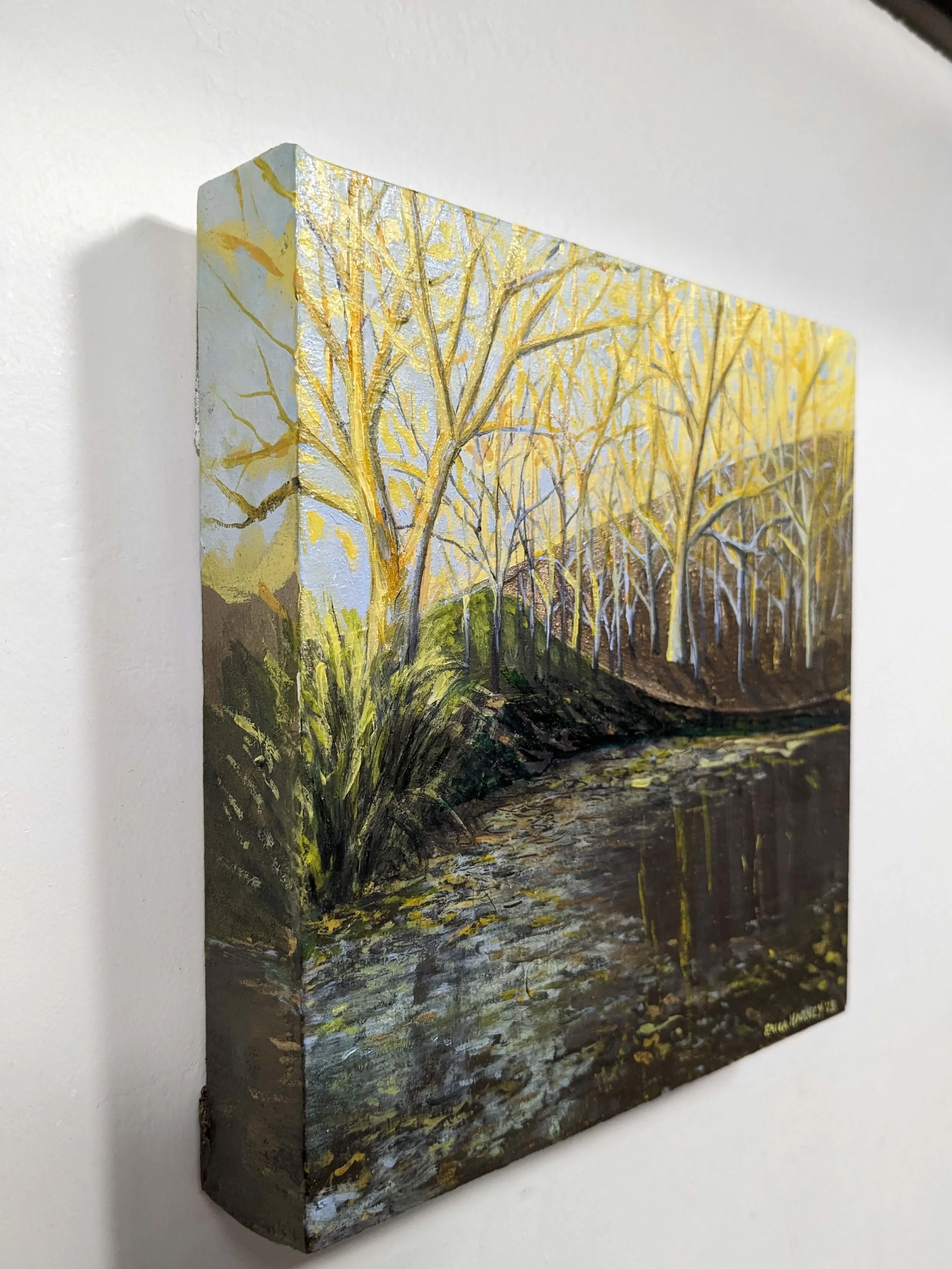 Erica Harney - Edge #1 for AS THE SUN DRIPS DOWN.jpeg