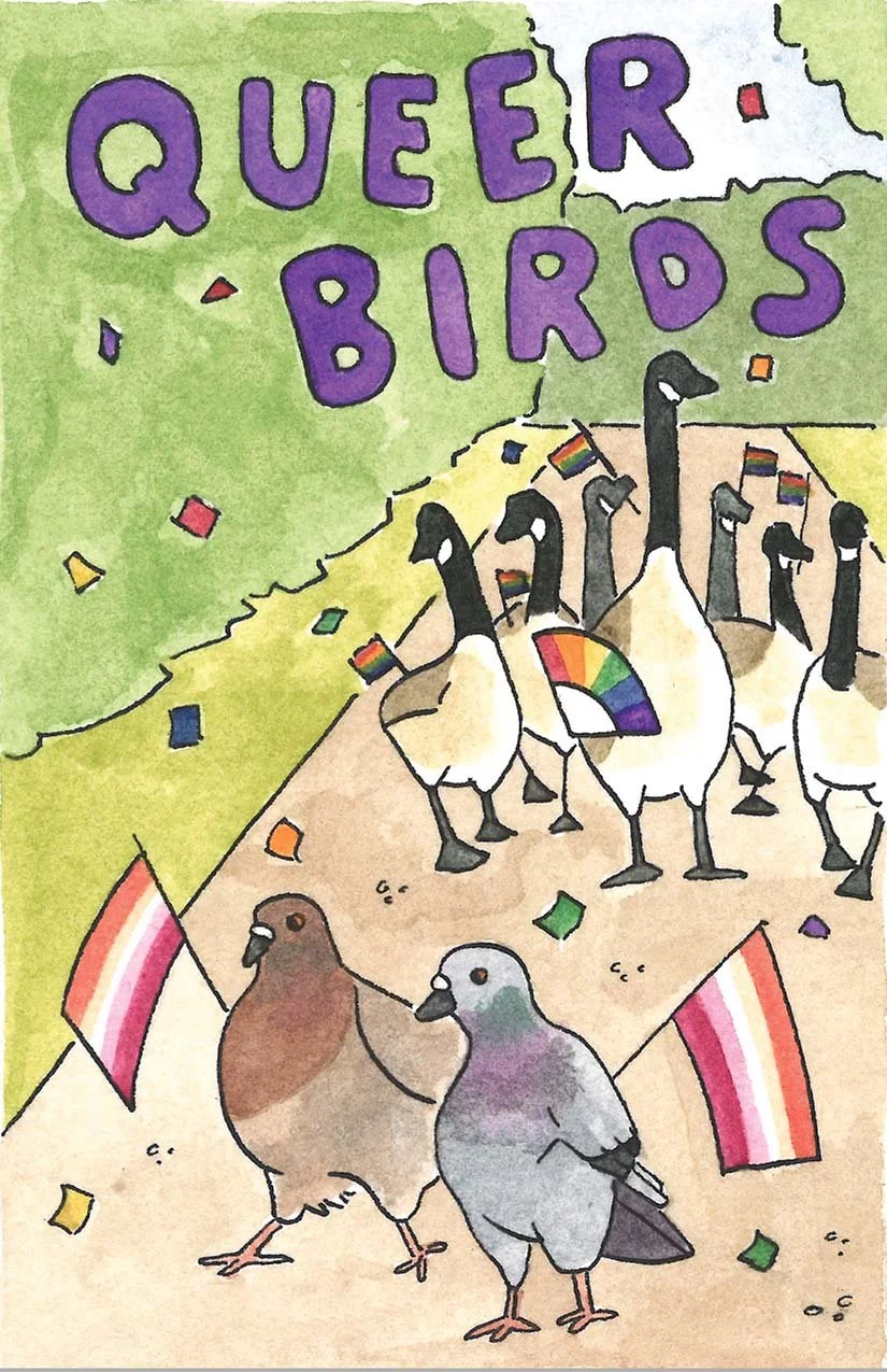 Eve Gordon - QUEER BIRDS Cover.jpeg
