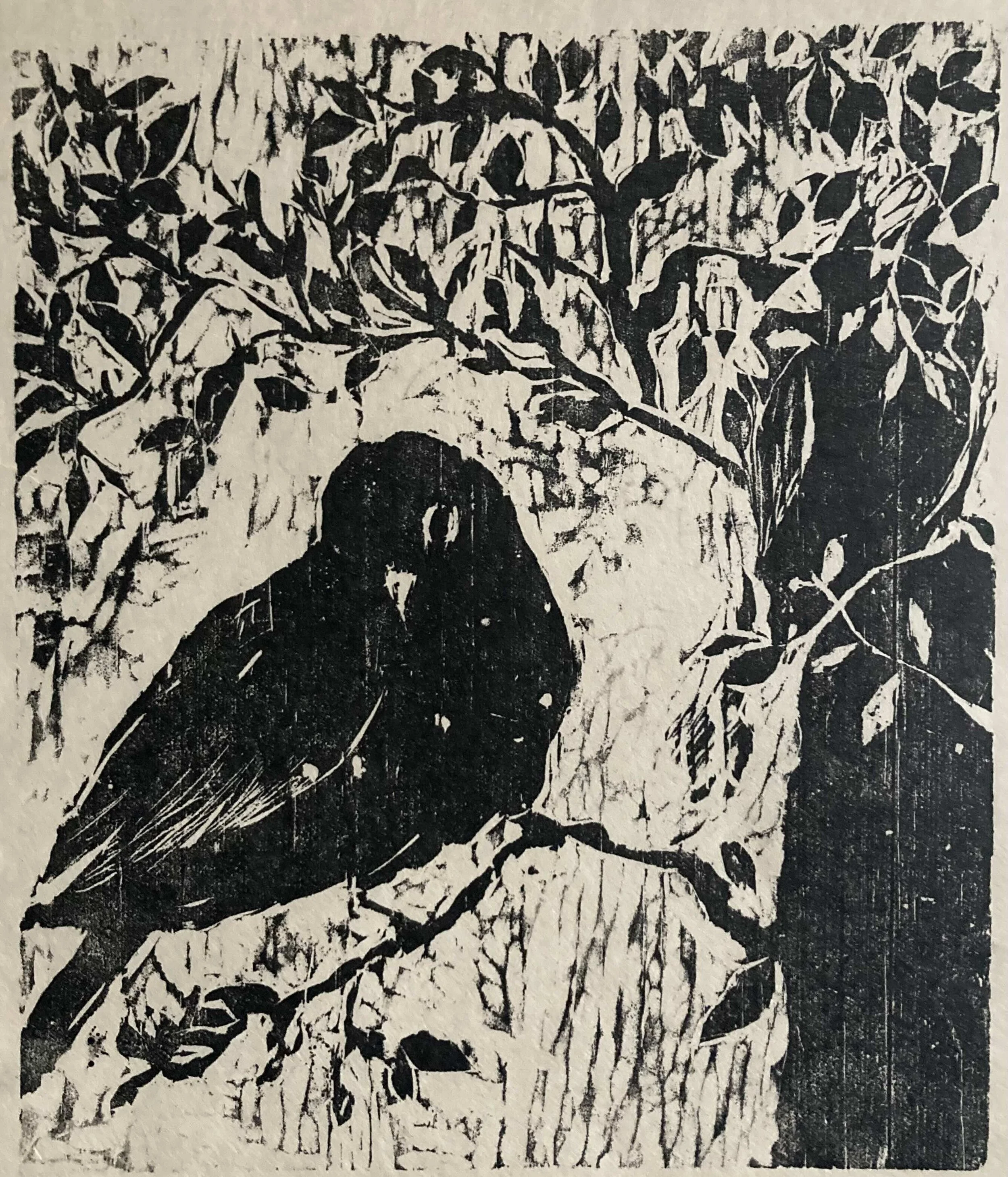 Carol Tashjian - ORIOLE.jpeg
