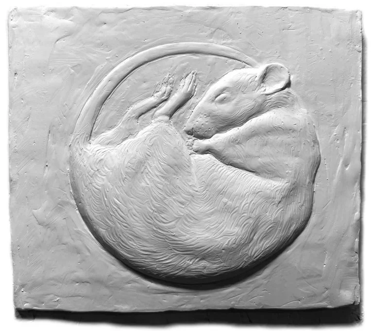 Varvàra Fern - CIRCLE OF LIFE.jpeg