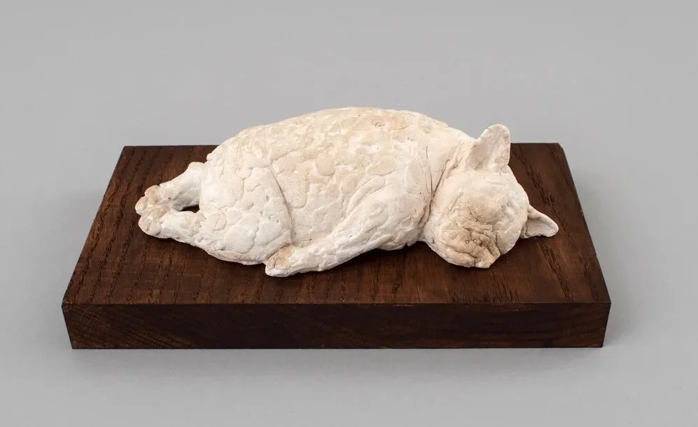 Varvàra Fern - THE SLEEPING FRENCHIE.jpeg