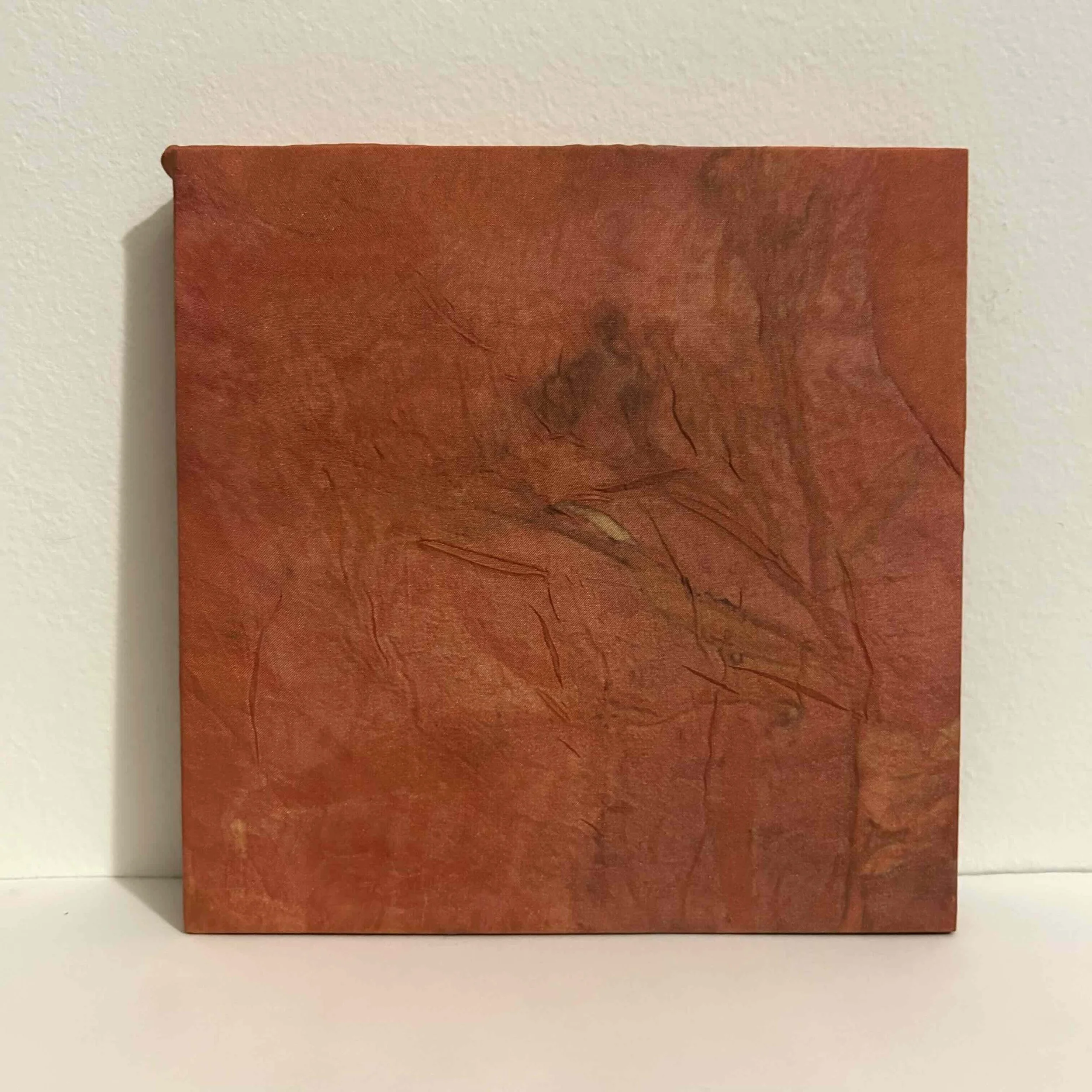 Bennett Cafarelli - SWALLOW.jpeg