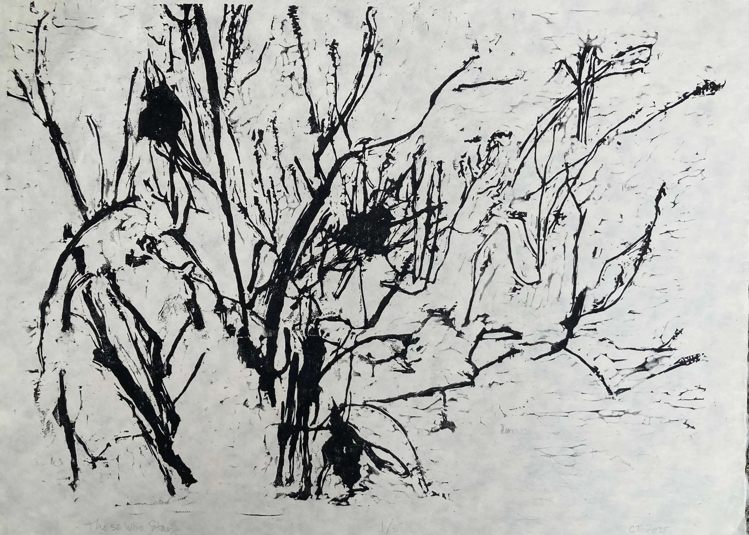 Carol Tashjian - THE YEAR ROUNDERS.jpeg