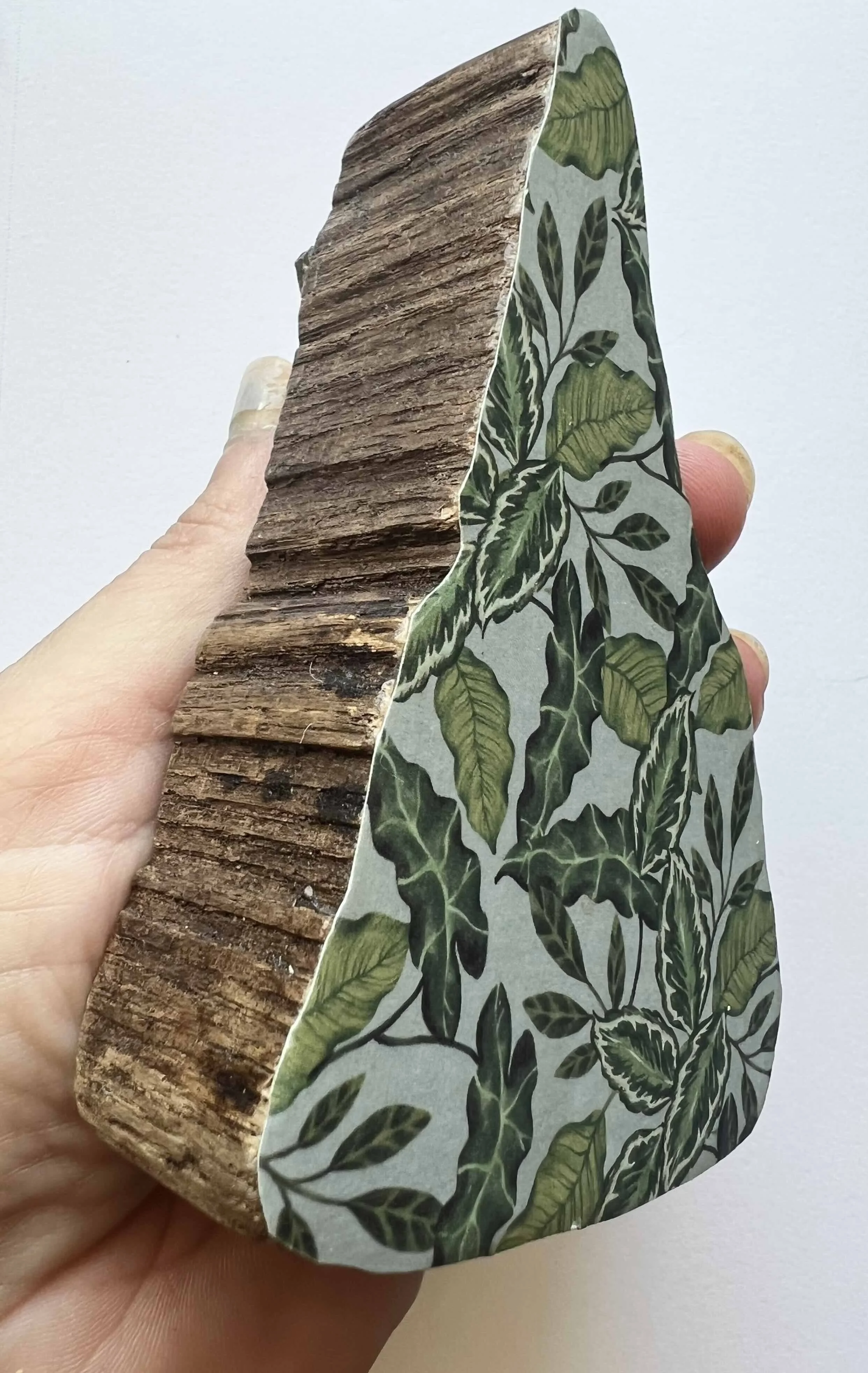 Jennifer Barrile - POE VALLEY STATE PARK - Reverse.jpeg