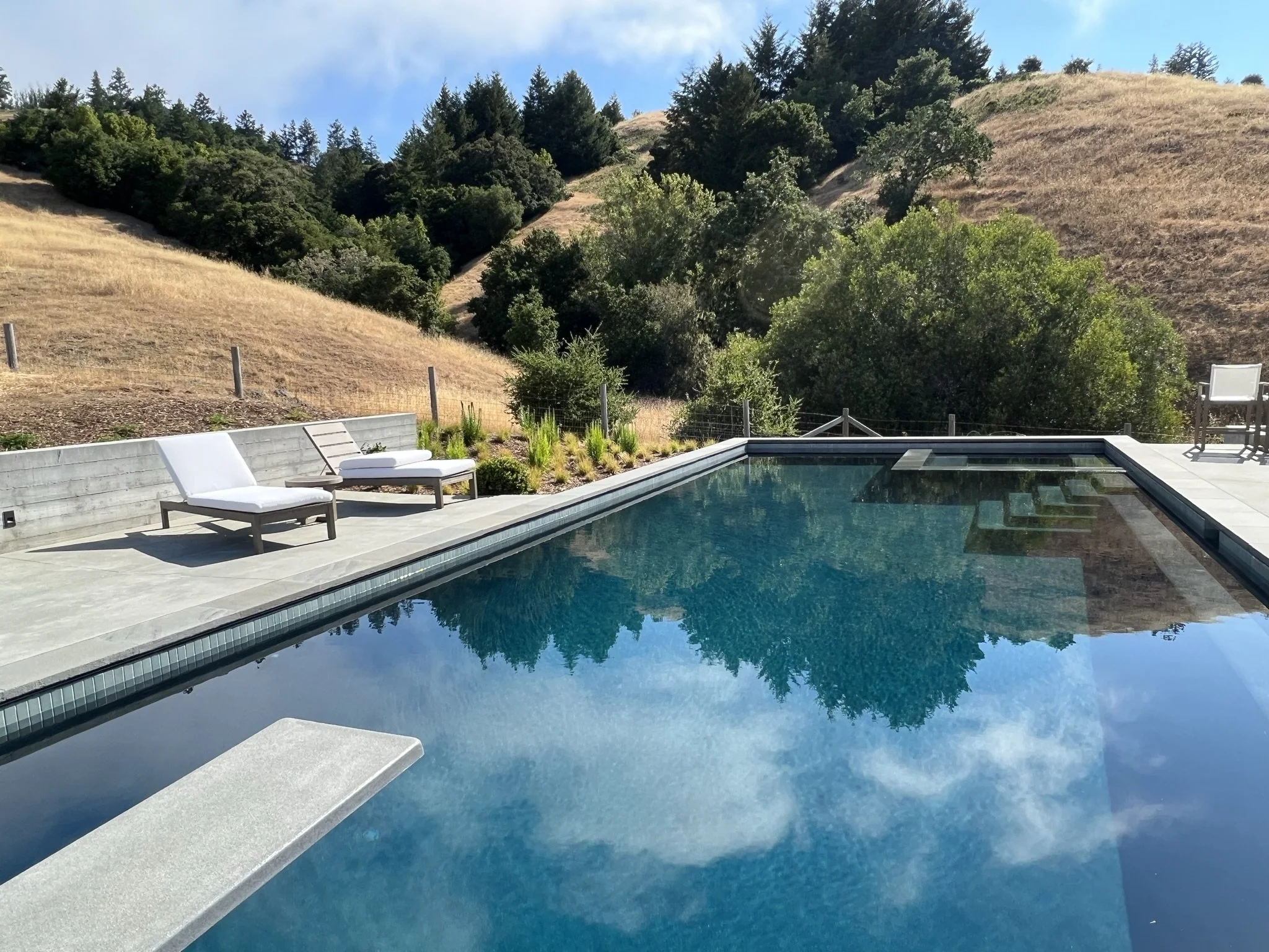 Khosrowshahi-Shapiro residence-2.JPEG