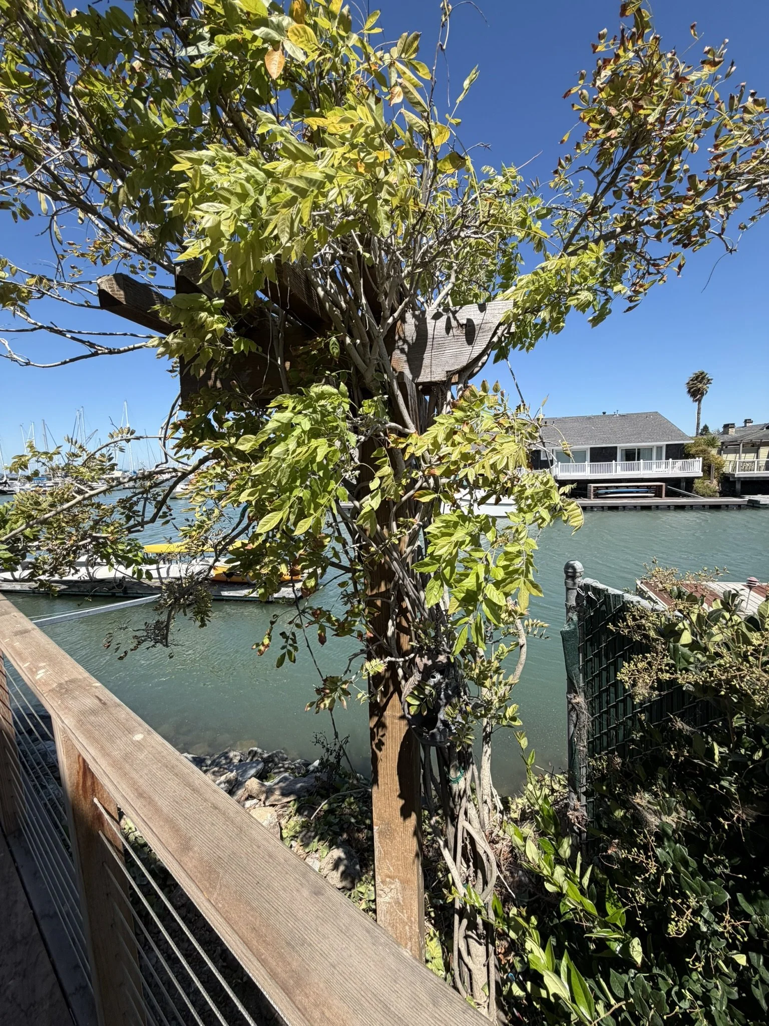 IMG_4764.JPEG