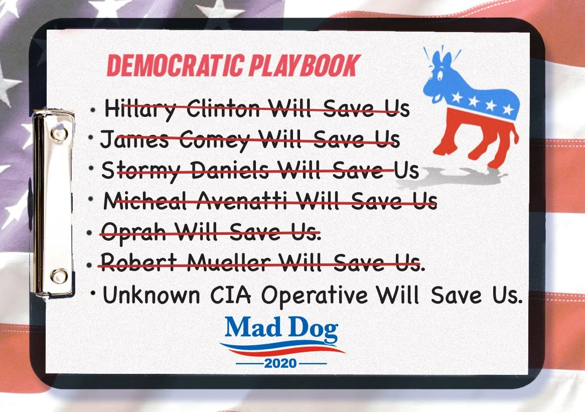 democrat playbook.jpg