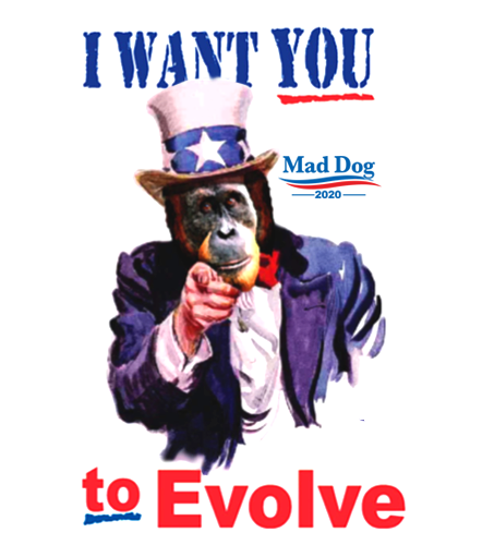 evolve.png