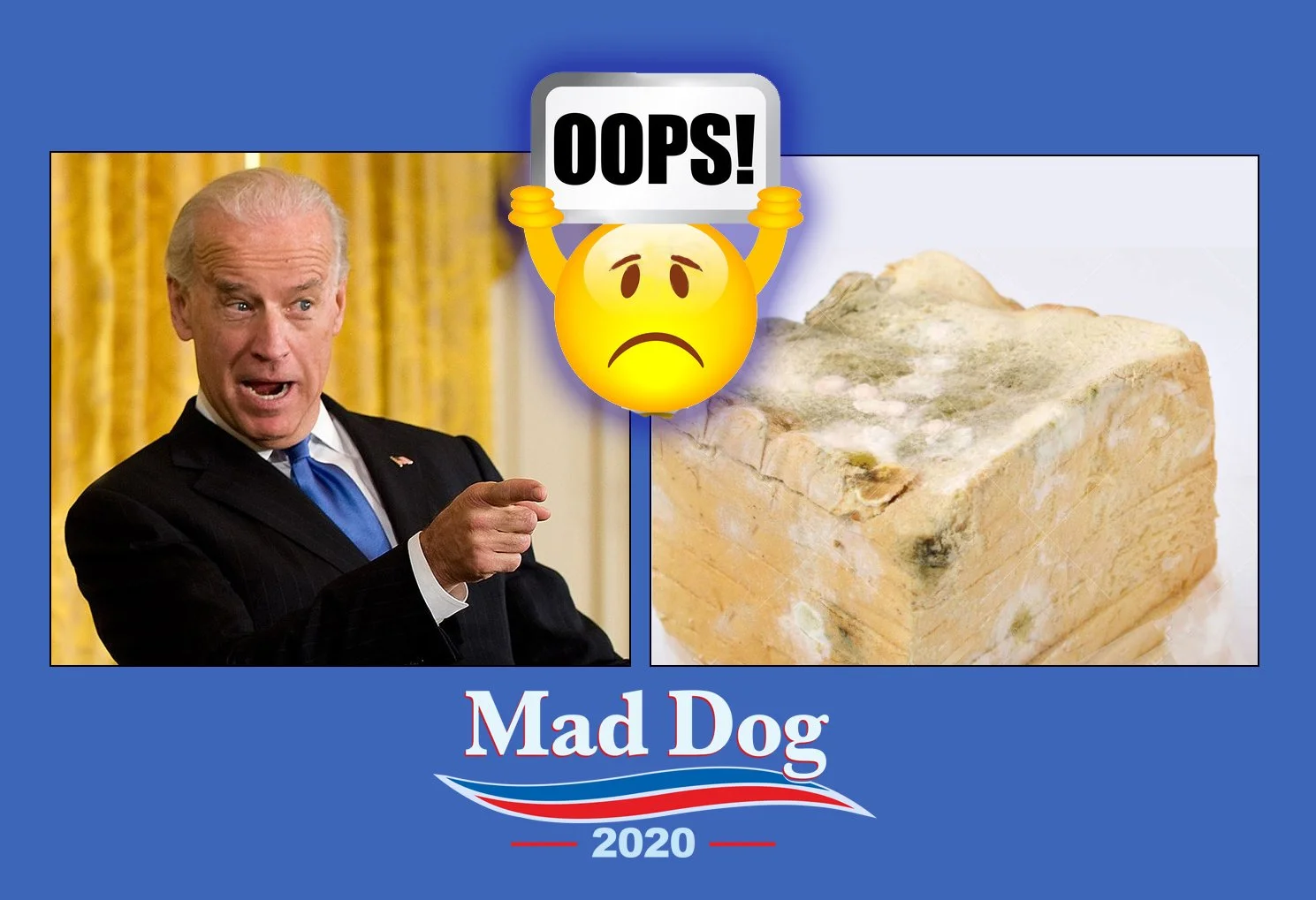joe biden pointing. copy.jpg