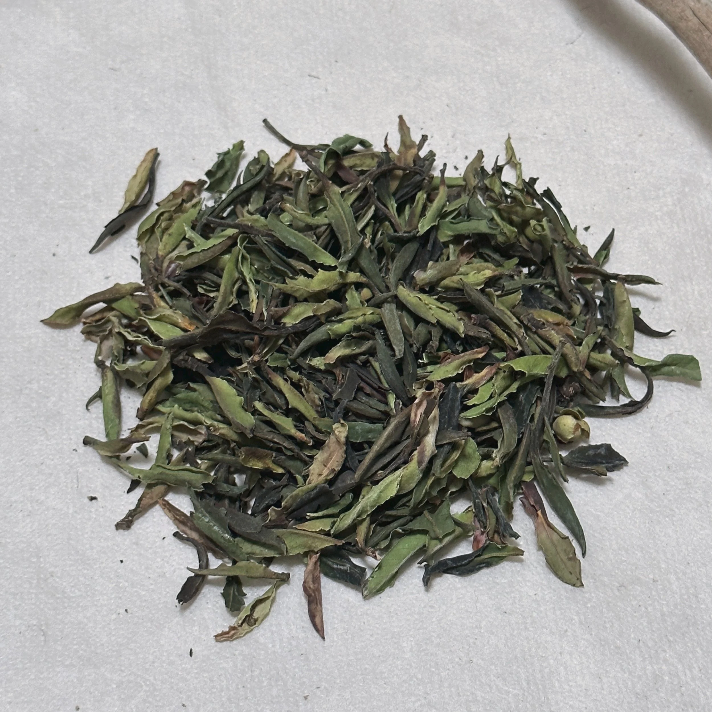 photo-output_1 2.JPEG