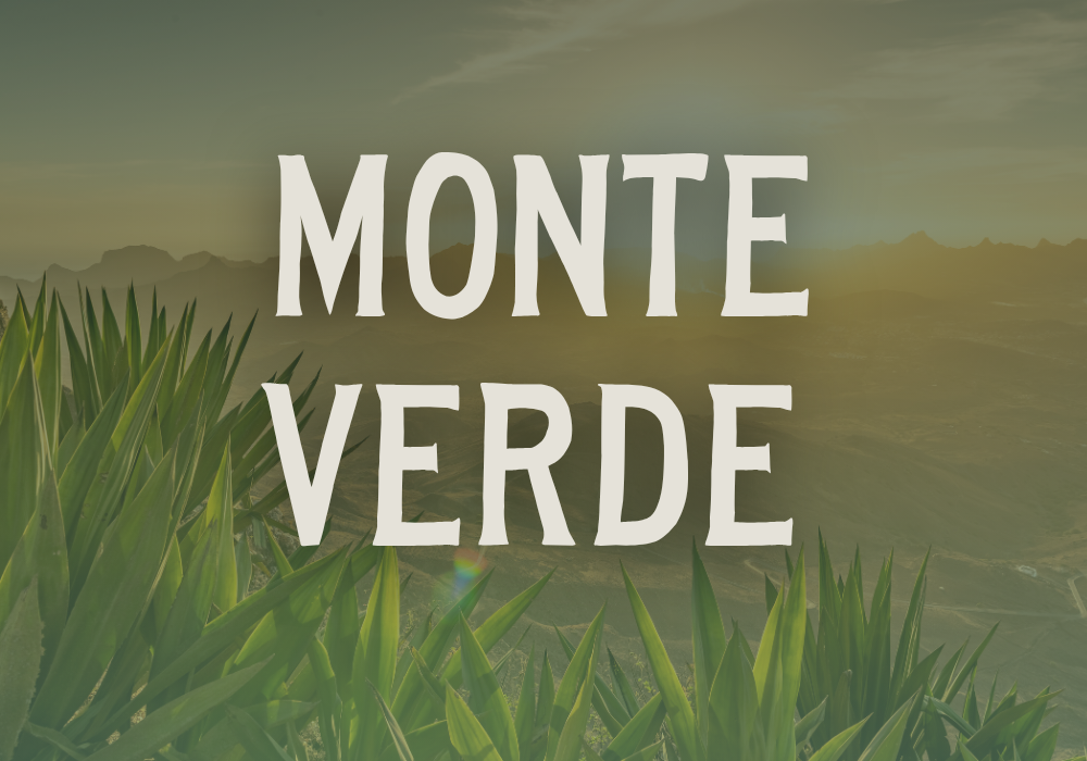 Monte Verde and the First Americans: Why Context Matters in Archaeology