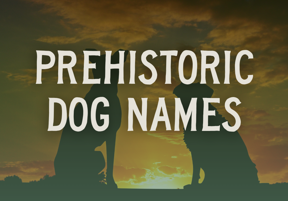 Prehistoric Dog Names
