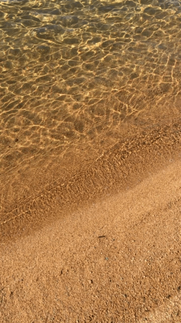 GifVid-animated.gif