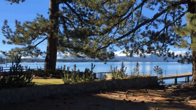 GifVid-animated 2.gif