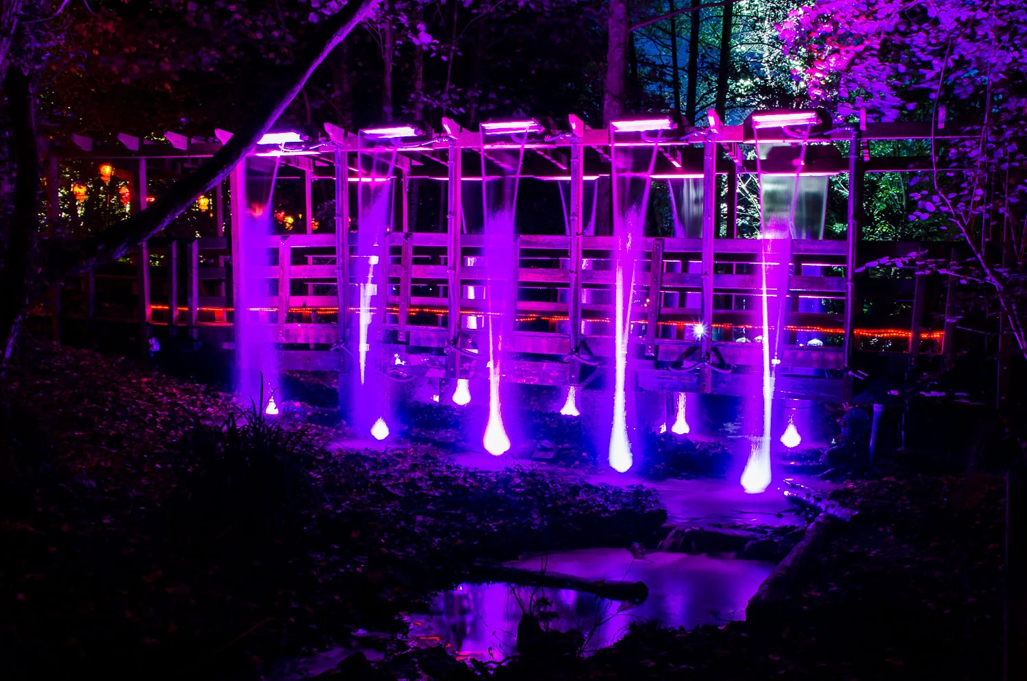 Festival Of Light, Simon Hawkins Photography