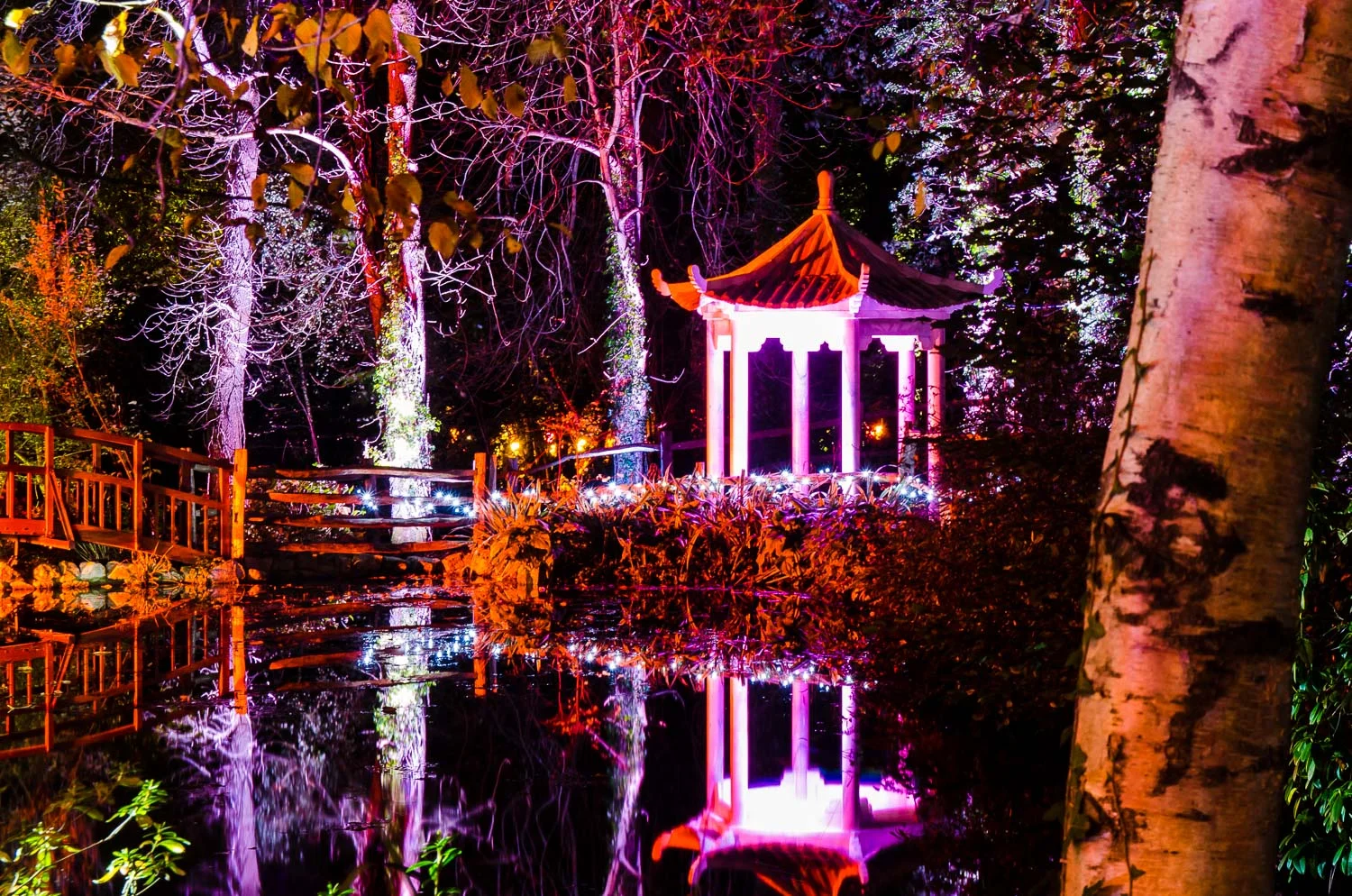 Festival Of Light