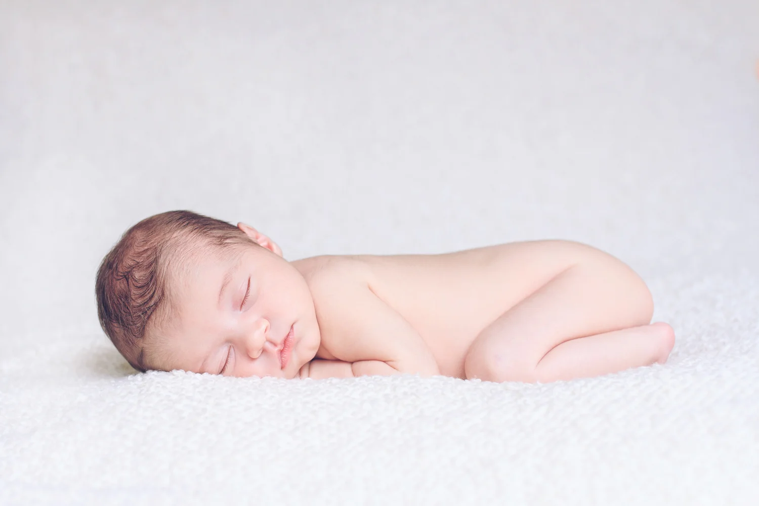 Melbourne newborn photography posed session | Laura Coutts Photography