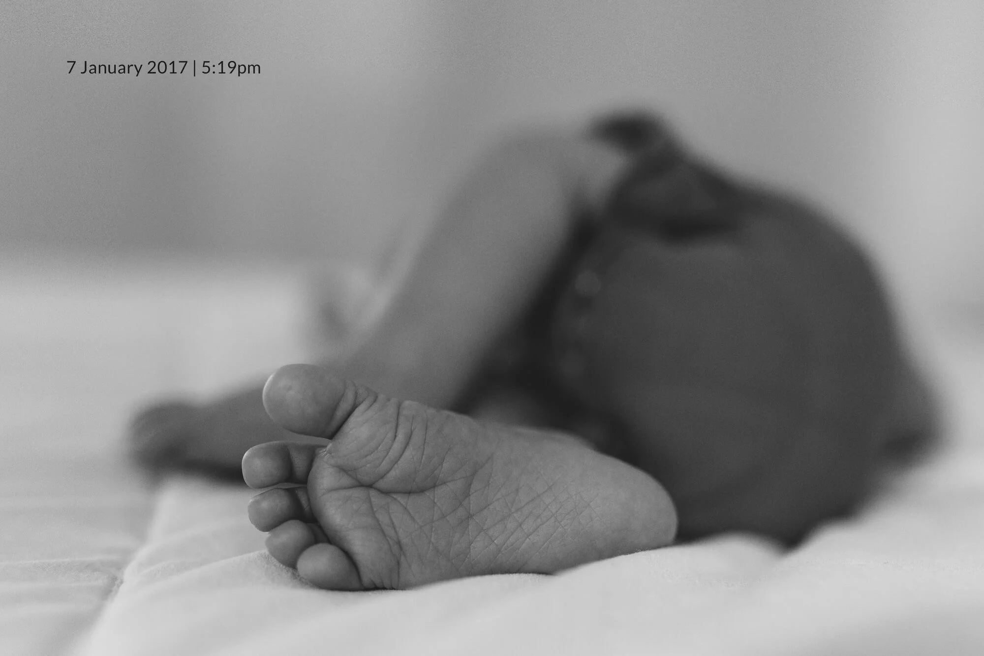 Melbourne family photography. Newborn baby foot in black and white.