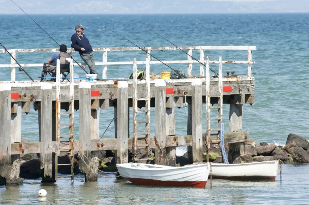 Bellarine photography