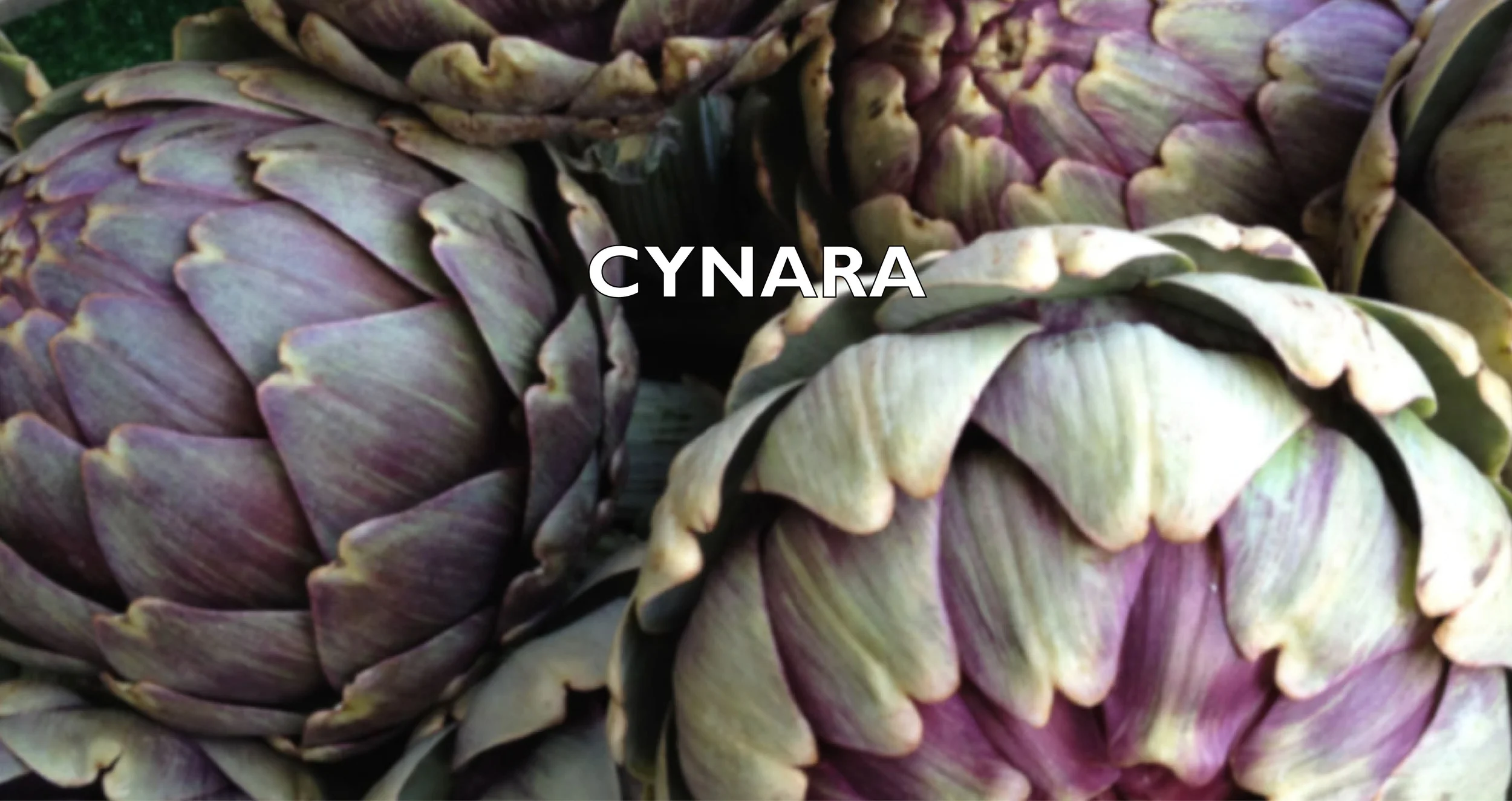 Saana Baker New Work 2014.jpg